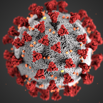 Coronavirus web 2.png