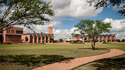 View of campus through green